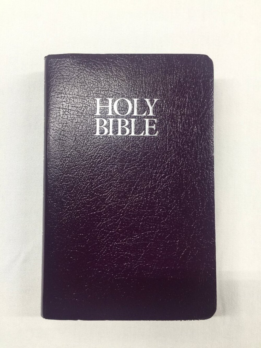 Holy Bible NIV Zondervan Words in Christ in Red Letter with Helps 2001 Softcover